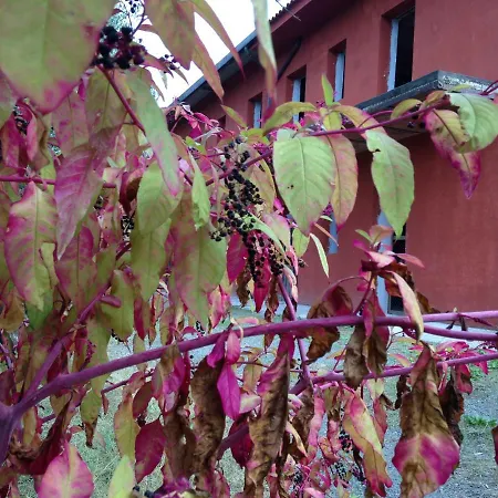 Monte Doddo * Monte Compatri